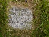 image of grave number 399634